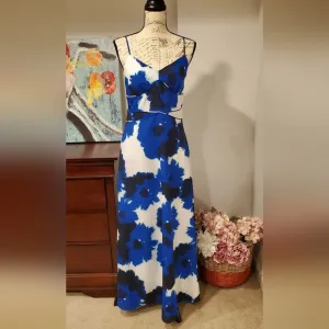 Banana Republic Women White &amp; Blue Maxi Spaguetti Straps Dress Size 2.