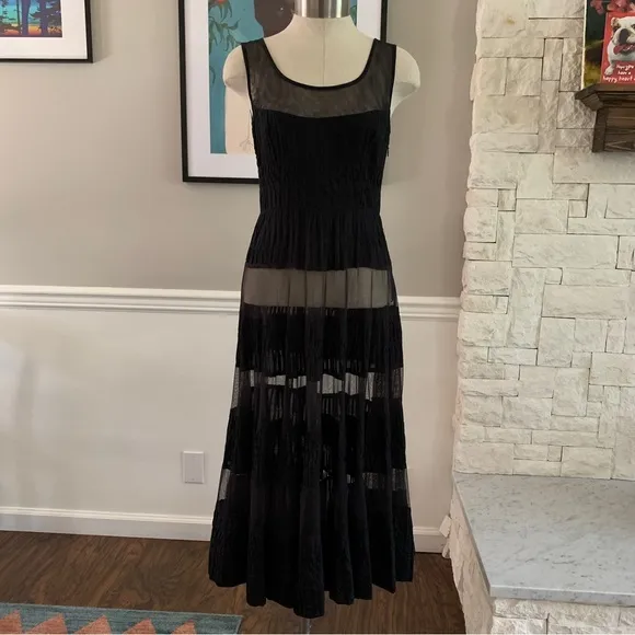 Free People Sheer Panel Black Dress Midi Maxi Whimsy Goth Witchy Size 2