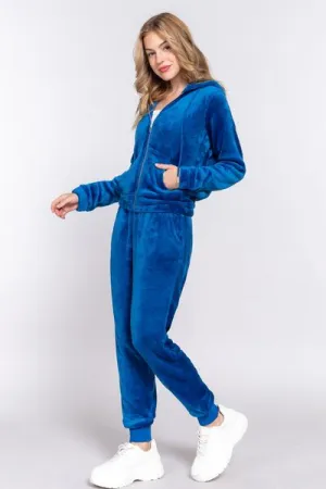 Velvet Zip Up Long Sleeve Hoodie and Joggers Set